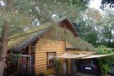 Komfortables Holzhaus im Grnen auf groem Waldgrundstck