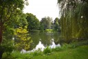 Traumhaft schnes Wohnen direkt am Kaiserpark.