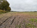 2,59 ha Ackerland in Apen Vreschen-Bokel